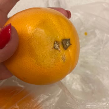 Migros Hemen Siparişteki Özensizlik