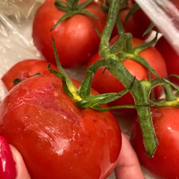 Migros Hemen Siparişteki Özensizlik