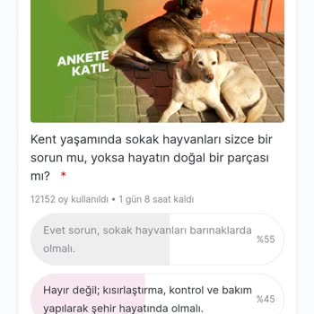 İBB - İstanbul Büyükşehir Belediyesi Sokak Hayvanları Gafı