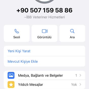 Avcılar Belediyesi Sokak Hayvanları Ölüyor