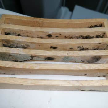 IKEA Banyo Ürünlerim Küflendi!