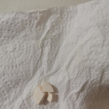 Ena Farma Tat Ve Renk Değişimiyle Hayal Kırıklığı