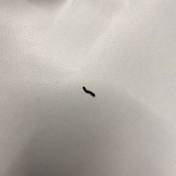 Sütiş Paslı Demir Parçası Çıktı Börekten!