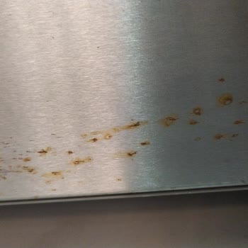 Vestel İnox Buzdolabım 1.5 Senede Paslandı