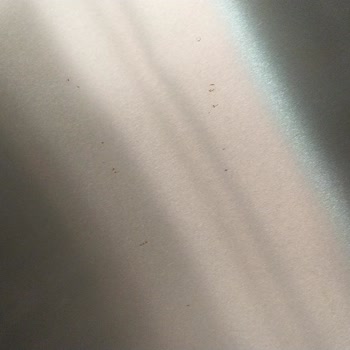 Vestel İnox Buzdolabım 1.5 Senede Paslandı