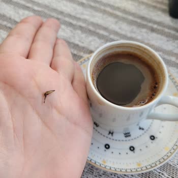 Kurukahveci Mehmet Efendi Türk Kahvesi Paketinde Beklenmedik Misafir