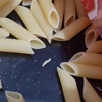 Filiz Makarna Paketinden Kurt Çıktı