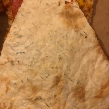 Domino's Küflü Pizza Mı Satıyor? Cevap İstiyorum
