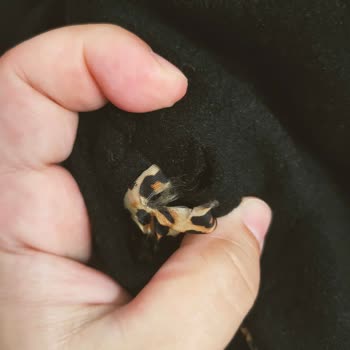 Zühre Tekstil Markanın Defolu Ürünü Ve Müşteri Hizmetleri Sorunu