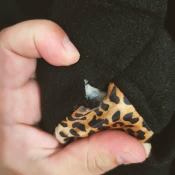 Zühre Tekstil Markanın Defolu Ürünü Ve Müşteri Hizmetleri Sorunu