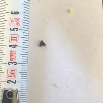 Lay's Cipsi İçindeki Yabancı Madde