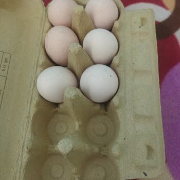 A101 Organik Bozuk Yumurta