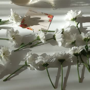 Çiçek Sepeti 40 Papatya Yerine 16 Papatya Gönderdi