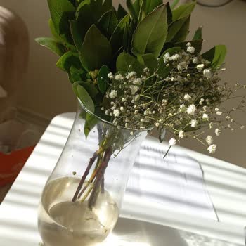 Çiçek Sepeti 40 Papatya Yerine 16 Papatya Gönderdi