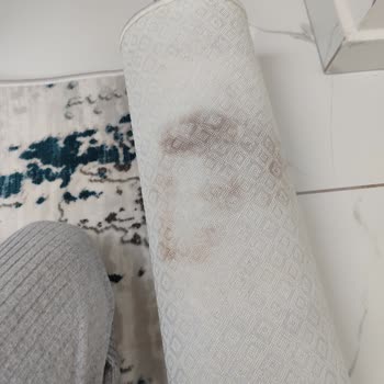 Deren Halı ve Koltuk Yıkama (Antalya) Halı Yıkama Hüsranı: Lekeler Ve Saygısızlık