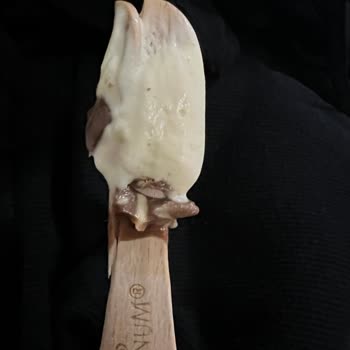 Magnum Dondurma Çubuğu Hasarlı