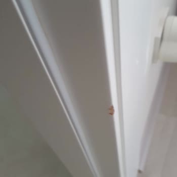 Enza Home Koltuk Takımı Getirirken Evin Kapısına Hasar Oluşturma