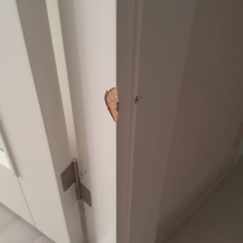 Enza Home Koltuk Takımı Getirirken Evin Kapısına Hasar Oluşturma