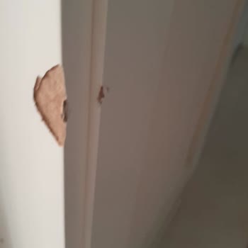 Enza Home Koltuk Takımı Getirirken Evin Kapısına Hasar Oluşturma
