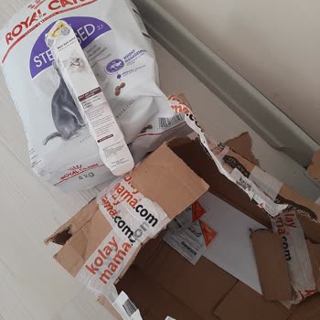KolayMama 12.12. Tar. Royal Canin Mama Sipariş Hk