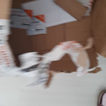 KolayMama 12.12. Tar. Royal Canin Mama Sipariş Hk