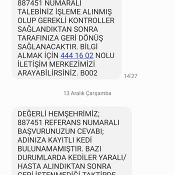 Bursa Yıldırım Belediyesi Belediyenin Kayıp Kedi İhmali