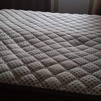 Bambi Yatak Alarak Yaşadığımız Pişmanlığın Kısa Bir Özeti...