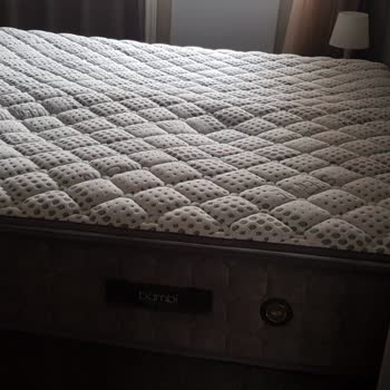 Bambi Yatak Alarak Yaşadığımız Pişmanlığın Kısa Bir Özeti...