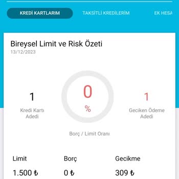 Findeks Puanımı Arttırmıyor Borç Gösteriyor