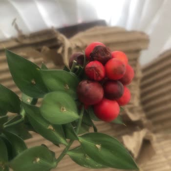 Trendyol Kusurlu Ve Eksik Sipariş