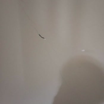 DASK Ek Ödeme İtirazı