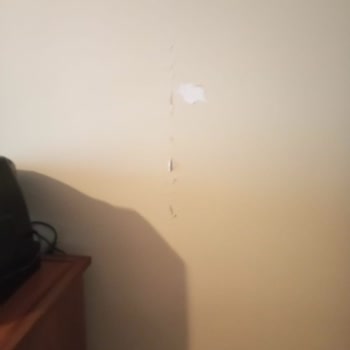 DASK Ek Ödeme İtirazı