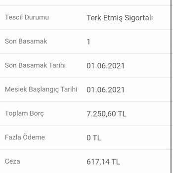 Bağkur Borç A Faiz İşlemeleri
