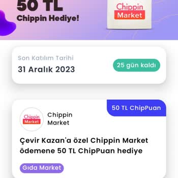 Chippin Kazandığım Puan Yatmadı