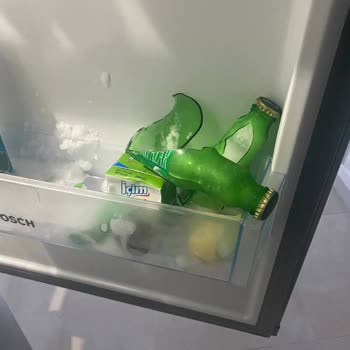 Bosch Markasının Servis Konusunda Yetersizliği Ve İlgisizliği