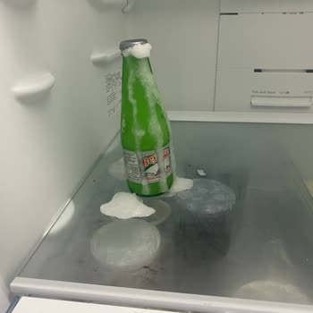 Bosch Markasının Servis Konusunda Yetersizliği Ve İlgisizliği