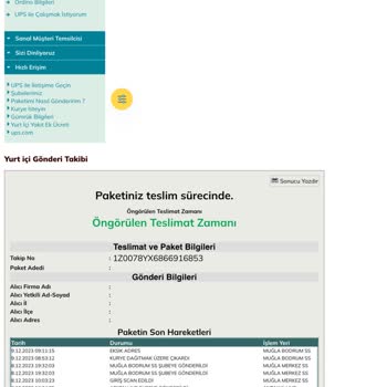 UPS Türkiye'nin Teslimat Süreçlerinde Yaşanan Aksaklıklar