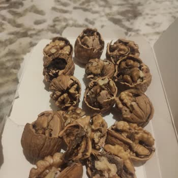 Dogalkamancevizurunleri&nbsp;Aldığım Ürün Ayıplı ve Eski Mahsul