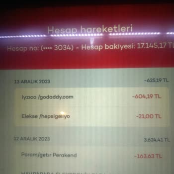Godaddy Habersizce Para Çekti!
