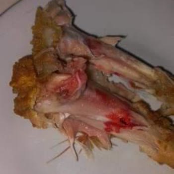 Gedik Piliç Tavuk Bütün Kanlı Çıkması.