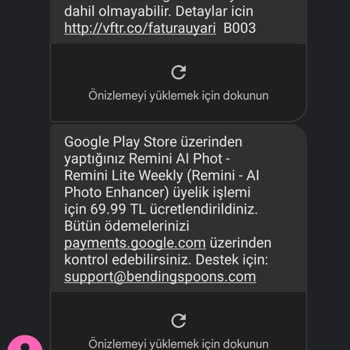 Remini Deneme Süresi Dolmadan Alınan Program Ücreti