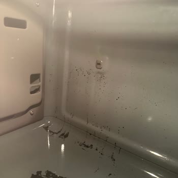 Bosch Fırın İçi Temizliği