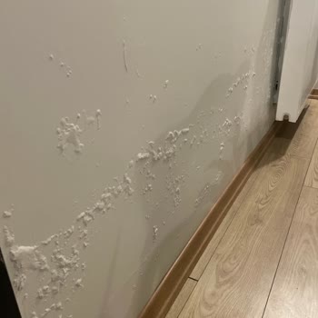 Esenler TOKİ 15 Temmuz Mahallesi Müteahhit Firma İlgisizliği