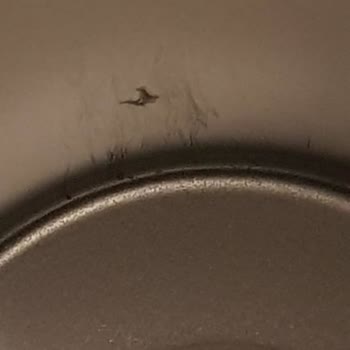 Amazon Stanley Marka 1.3 Litre Termos İçerisinde Çizikler