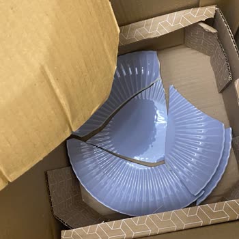 Kütahya Porselen Kırık Yemek Tabağı