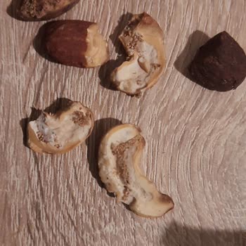 Aybimaş Ürünlerin Kontrol Edilmesini İstiyorum