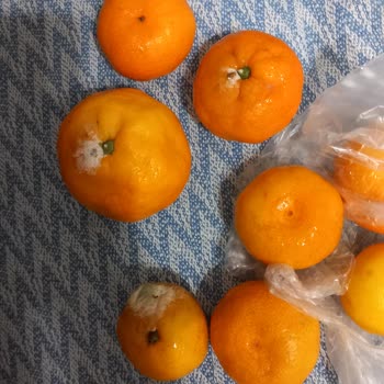 Migros Gönderilen Çürük Ürünler