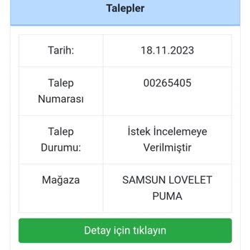 Puma Spor Ayakkabı Deride Çatlama