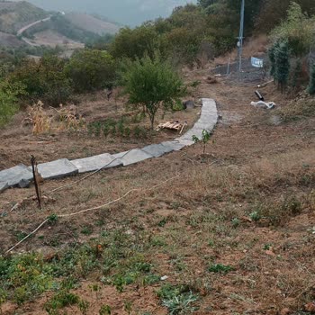 Otokoç İkinci El Araç Satışı