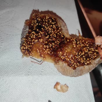 Çitlekçi Kötü Ürün Ayıplı Mal